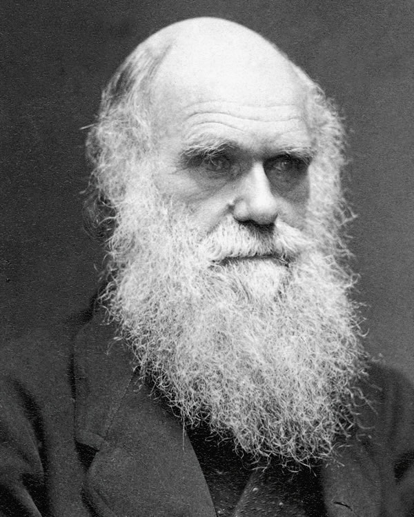 A portrait of Charles Robert Darwin