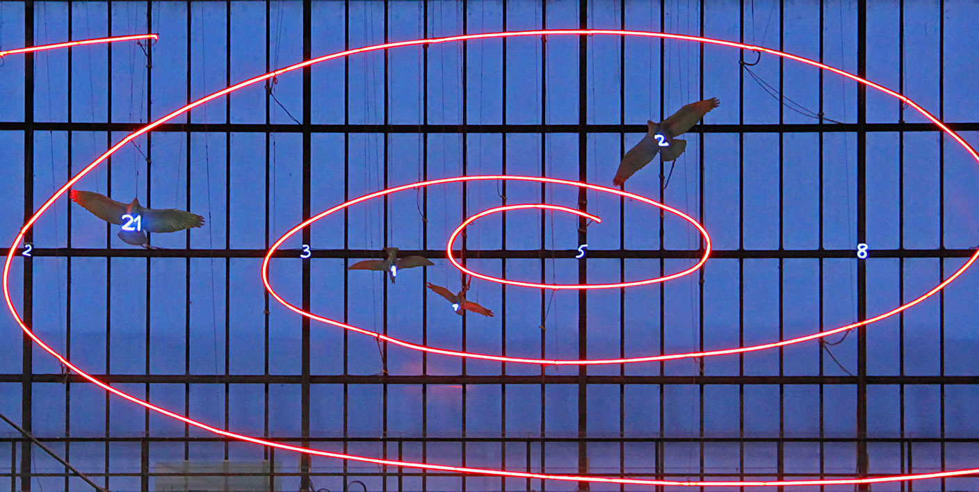 The ovus philosophicus: red lines in front of a grid with birds