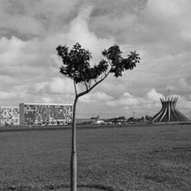 Landscape picture with a prefabricated building, a tree and a circus tent in front of a cloudy sky