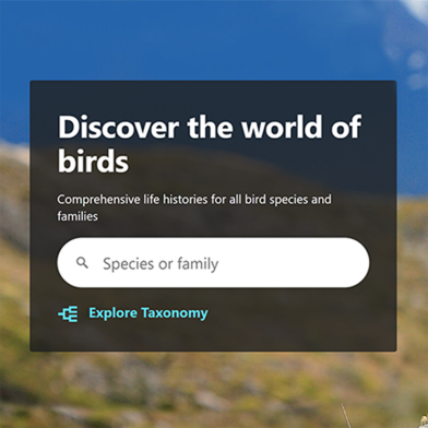 Vogel in der Natur neben einem Banner mit der Aufschrift "Discover the world of birds"