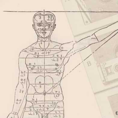 alte Drucke von Skelett und Zeichnung von Körper mit Abmessungen